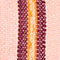 ROSA/ ORANGE/ DUNKELROT