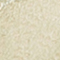 PISTAZIE