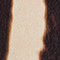 ECRU/ DUNKELBRAUN