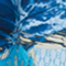 BLAU/ HELLBLAU