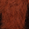 BRAUN/ SCHWARZ