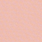 PEACH ROSE