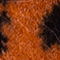 BRAUN/ SCHWARZ