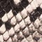 CREME/ GRAU/ SCHWARZ