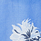HELLBLAU/ WEISS/ BLAU