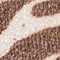 BRAUN/ WEISS/ ROSÈ