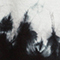 SCHWARZ/ WEISS