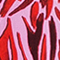 ROSA/ ROT