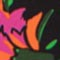 SCHWARZ/ PINK/ ORANGE