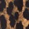 CAMEL/ SCHWARZ