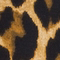 SCHWARZ/ COGNAC