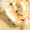 GOLD/ SILBER