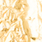 SILBER/ GOLD