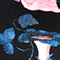 SCHWARZ/ BLAU/ ROSA