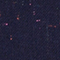 DUNKELBLAU