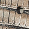SCHWARZ/ HELLGRAU
