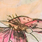 PINK/ GELB/ GRÜN