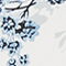 WEISS/ BLAU