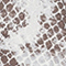 GRAU/ TAUPE/ HELLGRAU