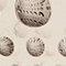 BRAUN