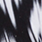 SCHWARZ/ WEISS