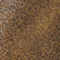 BRAUN