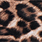 BRAUN/ SCHWARZ