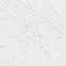 WEISS