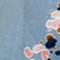 HELLBLAU