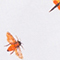 WEISS/ ORANGE/ DUNKELGRÜN