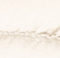 CREME