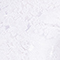 WEISS