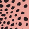 ROSE/ SCHWARZ