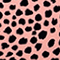 ROSE/ SCHWARZ
