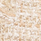CREME/ BEIGE