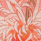 HELLORANGE/ ORANGE/ PINK