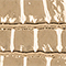 GOLD METALLIC
