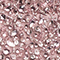 ALTROSA