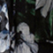 SCHWARZ/ GRÜN/ HELLBLAU
