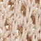 HELLBEIGE