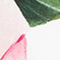 WEISS/ ROSA/ GRÜN