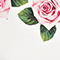 WEISS/ GRÜN/ ROSA