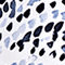 WEISS/ HELLBLAU/ SCHWARZ