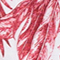 WEISS/ ROT