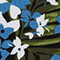 SCHWARZ/ BLAU/ GRÜN