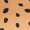 CAMEL/ SCHWARZ