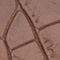 BRAUN