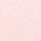 ROSÉ/ SCHWARZ
