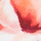 GRÜN/ ROSE/ GELB