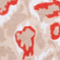 BEIGE/ WEISS/ ROT